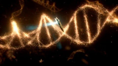 Some of the Things That Molecules Do